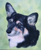 Click to view A Friendly Face.jpg